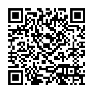 小兵特意在最里面帮余靖和苏洵腾出来两间格子二维码生成