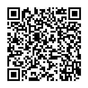 小冰冰的发言震撼了无数联邦民众我们这代人从小到大接受的教育都是要二维码生成