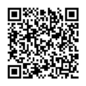小刀他们几名只拥有圣者实力的人还完全插不上手二维码生成