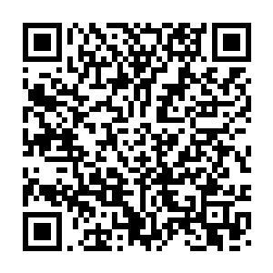 小刀看着眼前的北冥香韵根本顾不得自己的伤直接对着北冥香韵说道二维码生成