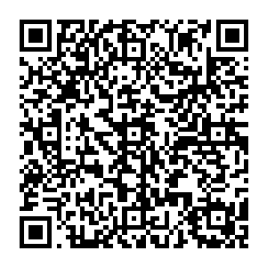 小加藤君从骨器店内购买的咕仔父亲尸骸制成的其余三件骨器或许也就在小加藤君别墅这地下室里藏着二维码生成