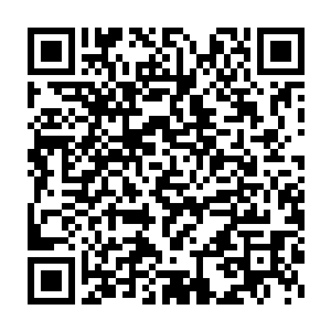 小加藤君因为骨器店老板的话再望向我的目光中带起疑惑探究情绪二维码生成