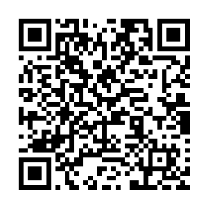 小加藤君瞟我一眼后对骨器店老板说他可以让其他人送他回去二维码生成