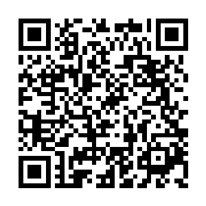 小卿从口袋中掏出了一封信件递到了我们的面前二维码生成