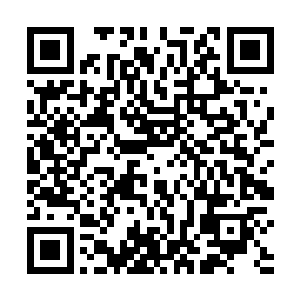 小友先前提到要将此棍重量加重到五千斤至一万斤之间二维码生成