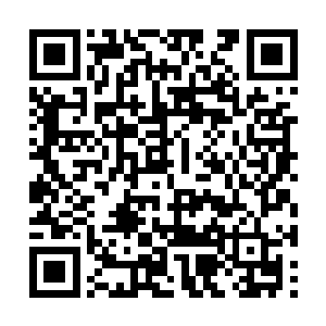 小友该不会觉得我们白云剑宗的剑都是木头做的吧二维码生成