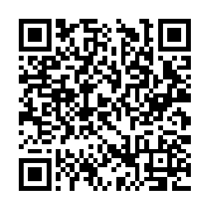 小叔更是可以说几乎完全把君氏集团这方面的职权二维码生成