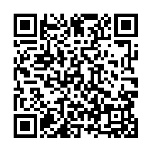 小叶把他们为什么会来仙桃村的原因一五一十的说了出来二维码生成
