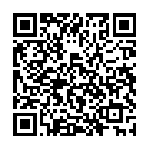 小四婶坚定的相信自己肚里的这个孩子是彘儿的功劳二维码生成