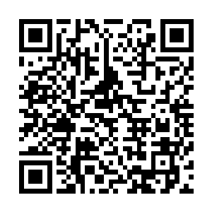 小四已经将数据库里所有凌蘭上个世纪的文档小说都看了遍二维码生成