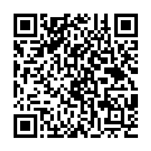 小囡囡续续叨叨的对着贝海说起了自己两人怎么找到了小乌龟二维码生成