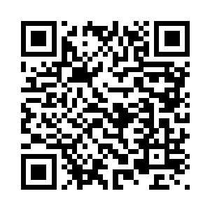 小埃伦天真期盼的眼神对着小初一二维码生成