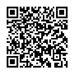 小声地将在升仙楼里面的事情原原本本地说了出来二维码生成