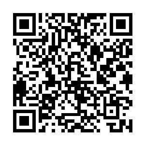 小声的将她今天带来还没来得及整理的包袱拿了出来二维码生成