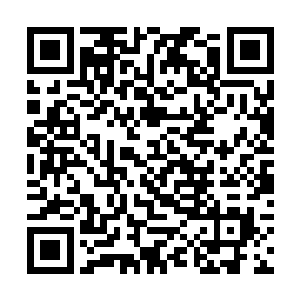 小天星跟她的新家教老师正坐在沙发上很认真地上课二维码生成