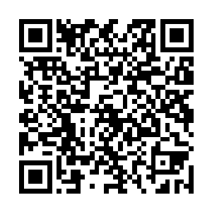 小天祈忽然发现了院子一角趴着晒太阳的那只百年海龟二维码生成