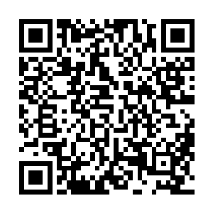 小太妹趁着两个庞然大物换嘴的功夫扑腾着翅膀逃开了去二维码生成