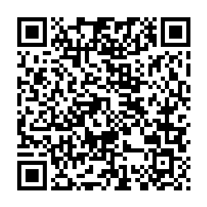 小太妹这肥肥的小身板在陆上对于四货来说就是法拉利对牛车的速度比二维码生成