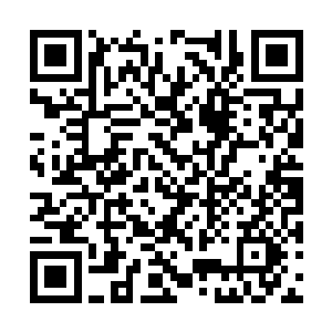 小太监与两位东厂番子将朱平安的书房检查了一遍二维码生成