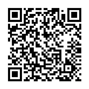 小太阳的班主任也想让他参加全国奥林匹克数学竞赛二维码生成