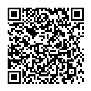 小女孩那水灵灵的眼睛正好奇的打量着来到这个世界看到的第一个人二维码生成