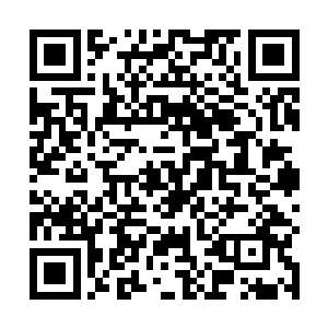 小女孩那纯净的大眼睛有些好奇的看着秦宇手中的追影二维码生成