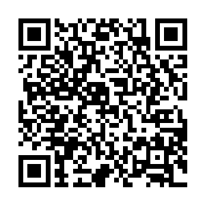 小奶娃在刚才突如其来的下坠与漆黑中难免有些受惊害怕二维码生成