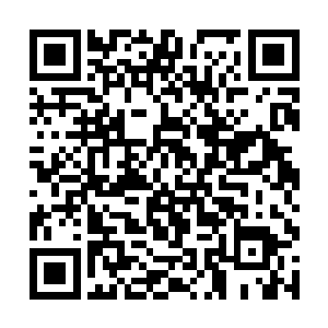 小妖精并没有因为自己的身材还把城市建设成小人国二维码生成