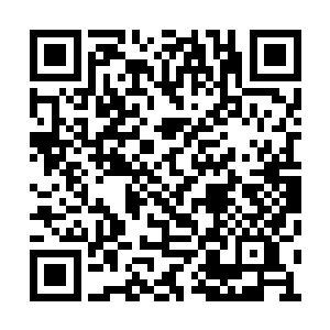 小妹是真心实意地想要将傀儡之术传授给你们的二维码生成