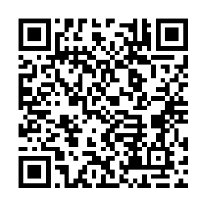 小姐现在可不是从前那个手无缚鸡之力的大小姐了二维码生成