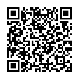 小姑夫的话好像能清楚地让我想到卓景当时的样子二维码生成