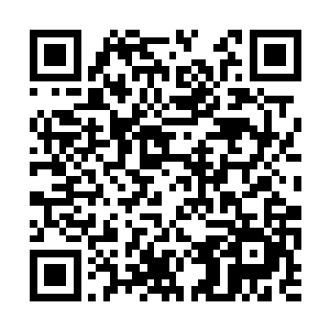 小婵终于与她敬爱已久的小姐成为……夫妻了……二维码生成