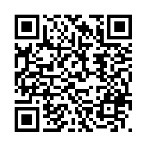 小学生们继续被助教们虐得暗无天日二维码生成