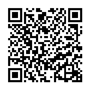 小孩子可以在这里学到一些我们人类所具有的美好品质二维码生成