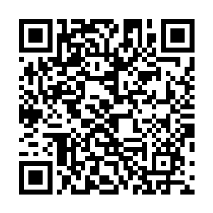 小孩子在什么天真也不可能在这样子的地方活蹦乱跳的吧二维码生成