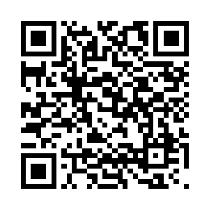 小安他们已经带着严英来到了大街上二维码生成