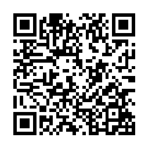 小安和虎头小狮子抢了自己的份额后就跑过来低声问道二维码生成