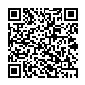 小安这是相当于把平民百姓之外的特权阶级全得罪了呀二维码生成