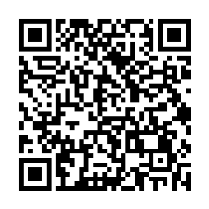 小宝和小熊是以游学学子的名义在时报上发表文章的二维码生成