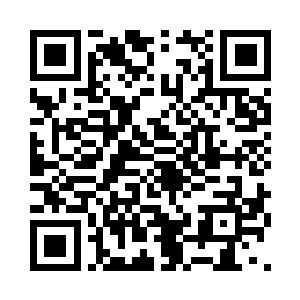 小宝和火狐冷漠地望着面前这个美丽的女孩二维码生成