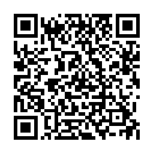 小宝和那个木槿就已经为张潇晗打理出势力范围二维码生成