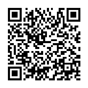 小宝在齐岳喊出他的父亲是安乐侯时就有些确定了二维码生成