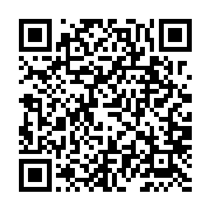 小宝对张潇晗这种时常忘记他是神兽的事情早就习以为常了二维码生成