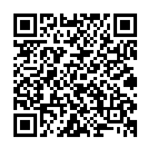 小宝的叫嚷吓了他的父母还有他的爷爷也就是目前林家的家主二维码生成