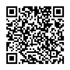 小宝看着张潇晗和火狐兴致勃勃地打量着湖里的游鱼二维码生成