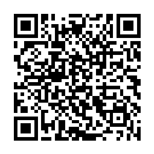 小宝眼睛一扫就看到了远处战在一起的侍卫和黑衣人二维码生成