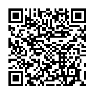 小宝这边已经在离地面二百多米高的地方就开始破坏山洞二维码生成