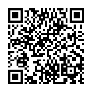 小家伙必须要在灭灵绝元控制住了妖族的元灵之后才能动手二维码生成