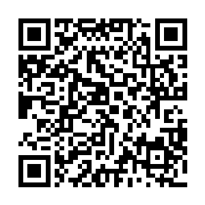 小家伙手里抱着一个和他半个身子差不多大小的变形金刚二维码生成