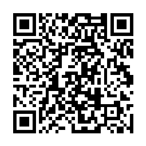 小家伙折腾这么半天把旁边躺着的弟弟给弄难受了二维码生成